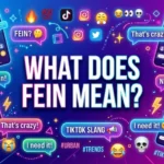 what does fein mean