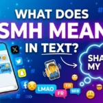 what does smh mean in text