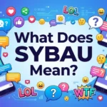 what does sybau mean