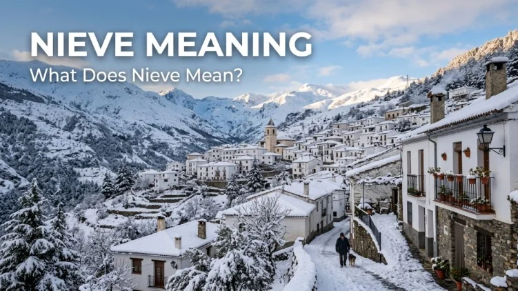 nieve meaning