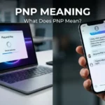 pnp meaning